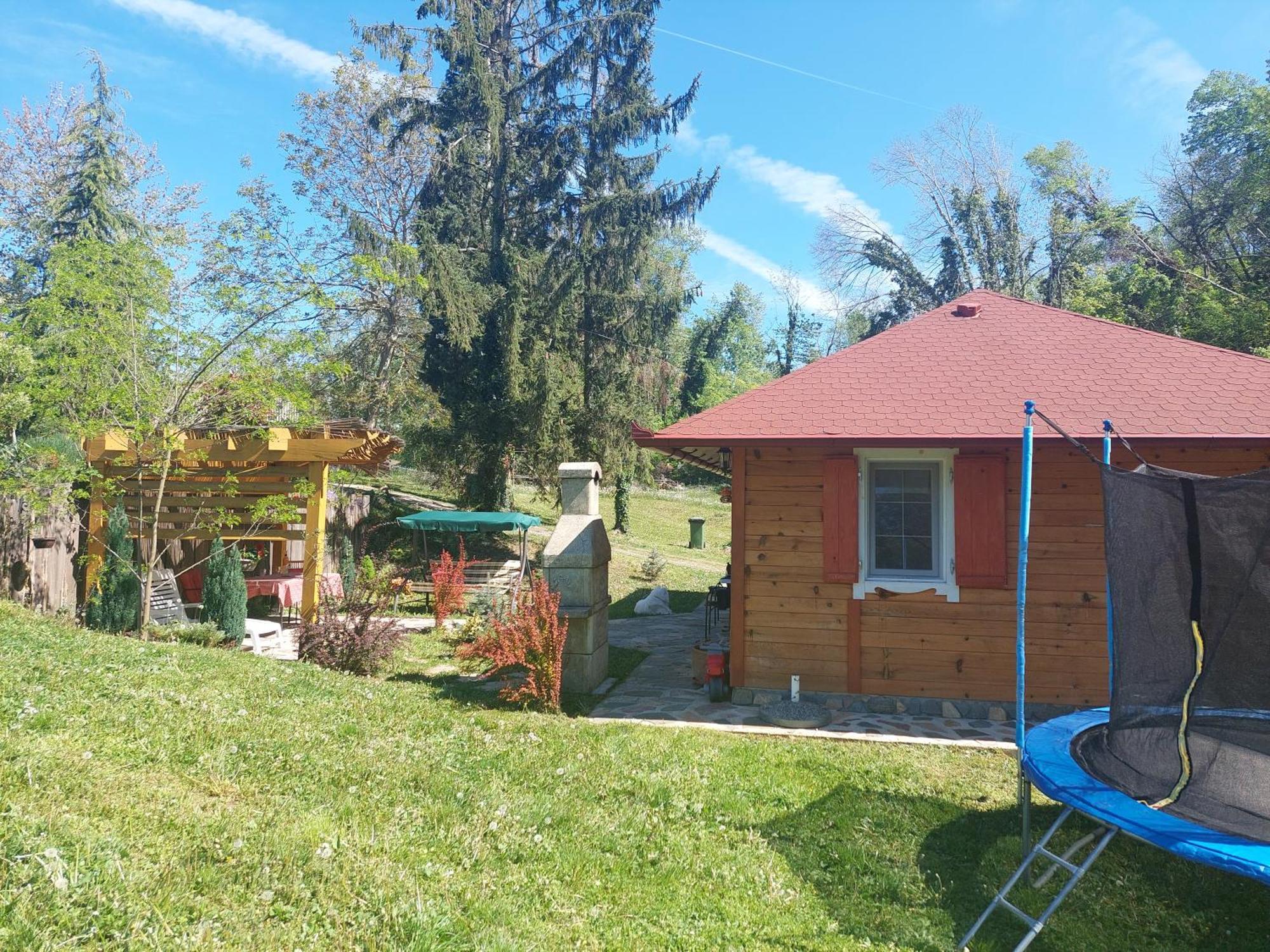 Brvnara Kraj Dunava Zelena Oaza Banostor エクステリア 写真